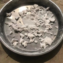 腐竹
