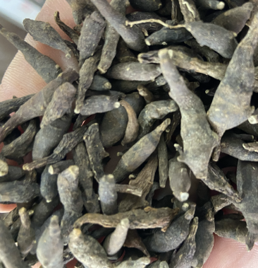 [两头尖批发]两头尖 中药材两头尖红背银莲花红被银莲花正品价格90.