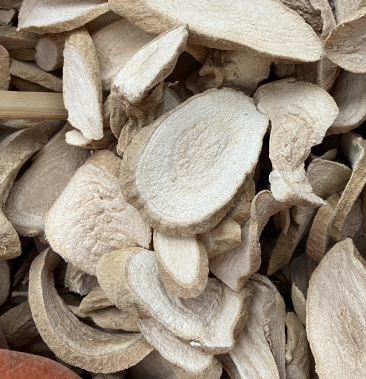 [朱砂根批发]粉罗伞大罗伞中药材 玉郎伞 木肚端 山大颜 刀斧伤山大