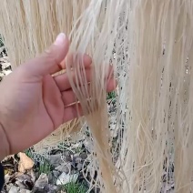 农家纯红薯粉丝，批发零售均可欢迎光临。极速发货