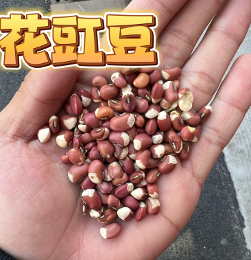 [江豆批发]花豇豆 白豇豆熬粥食品加工现货供应眉豆江豆价格4.