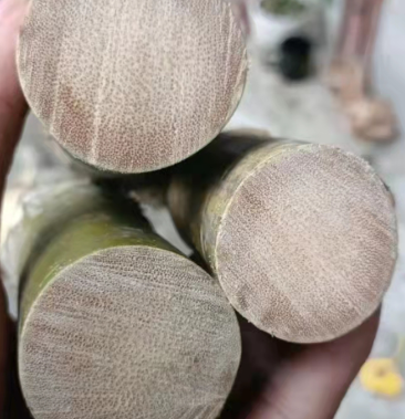 [竹子批发]大量出售缅甸龙血竹3公分,4公分到6公分,7公分三个规格