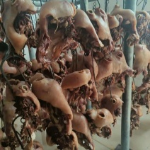 五香牛肉，牛头肉