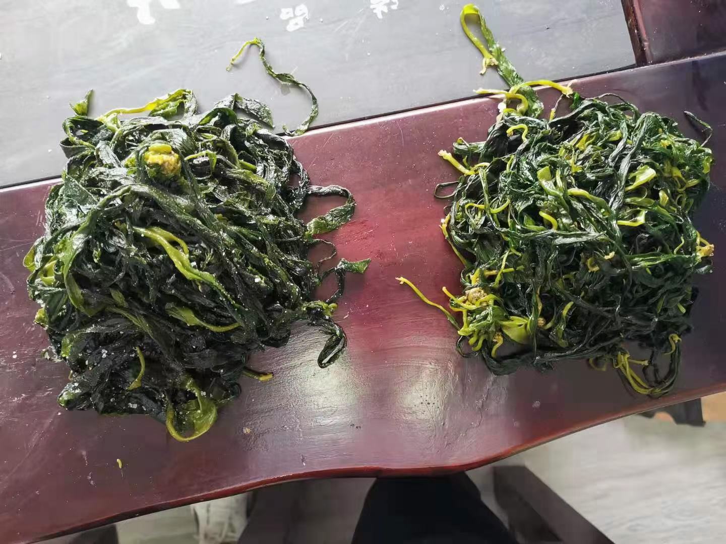 海带与豆芽的搭配食材展示