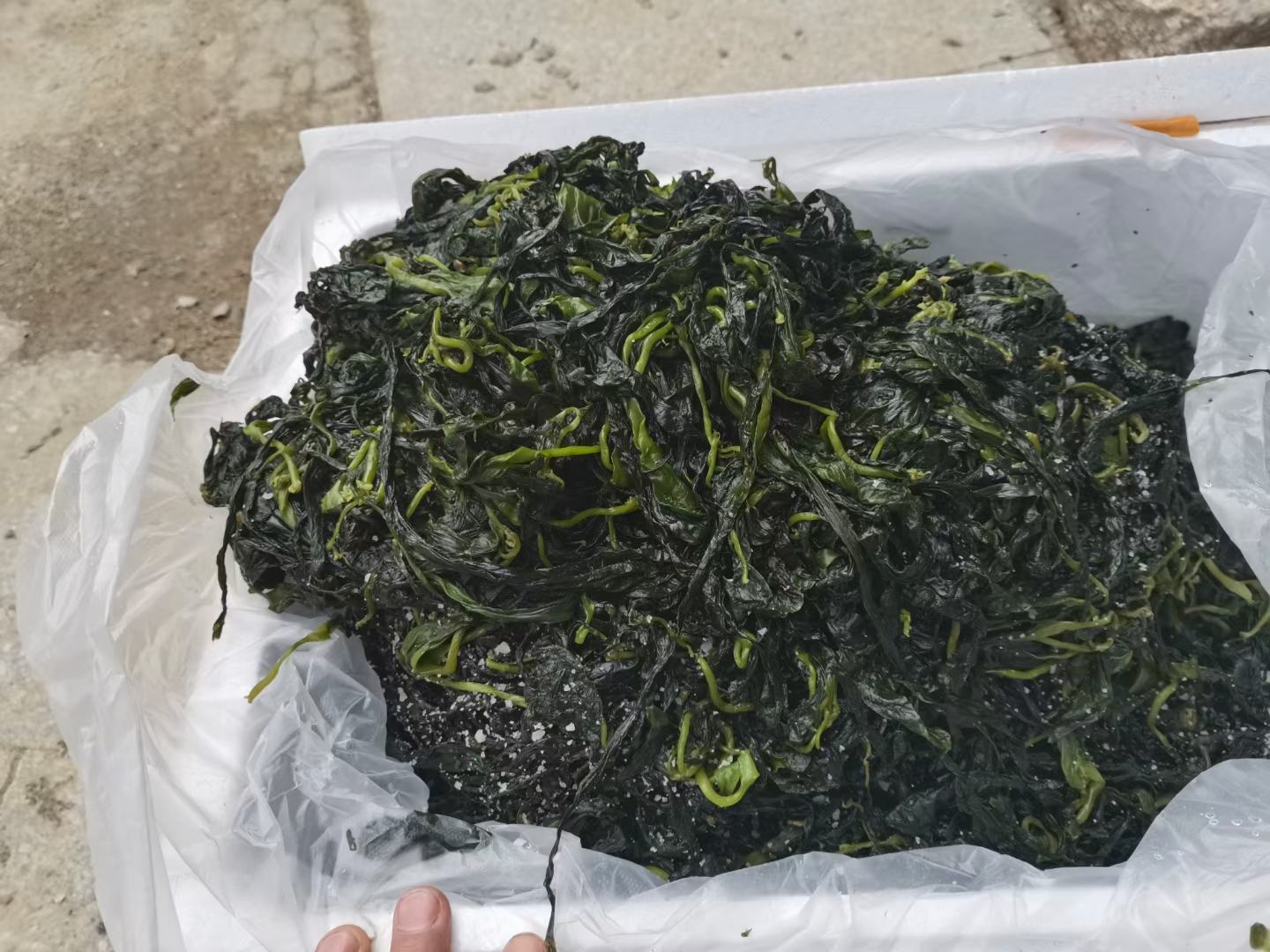 实验室碘检测场景示意图