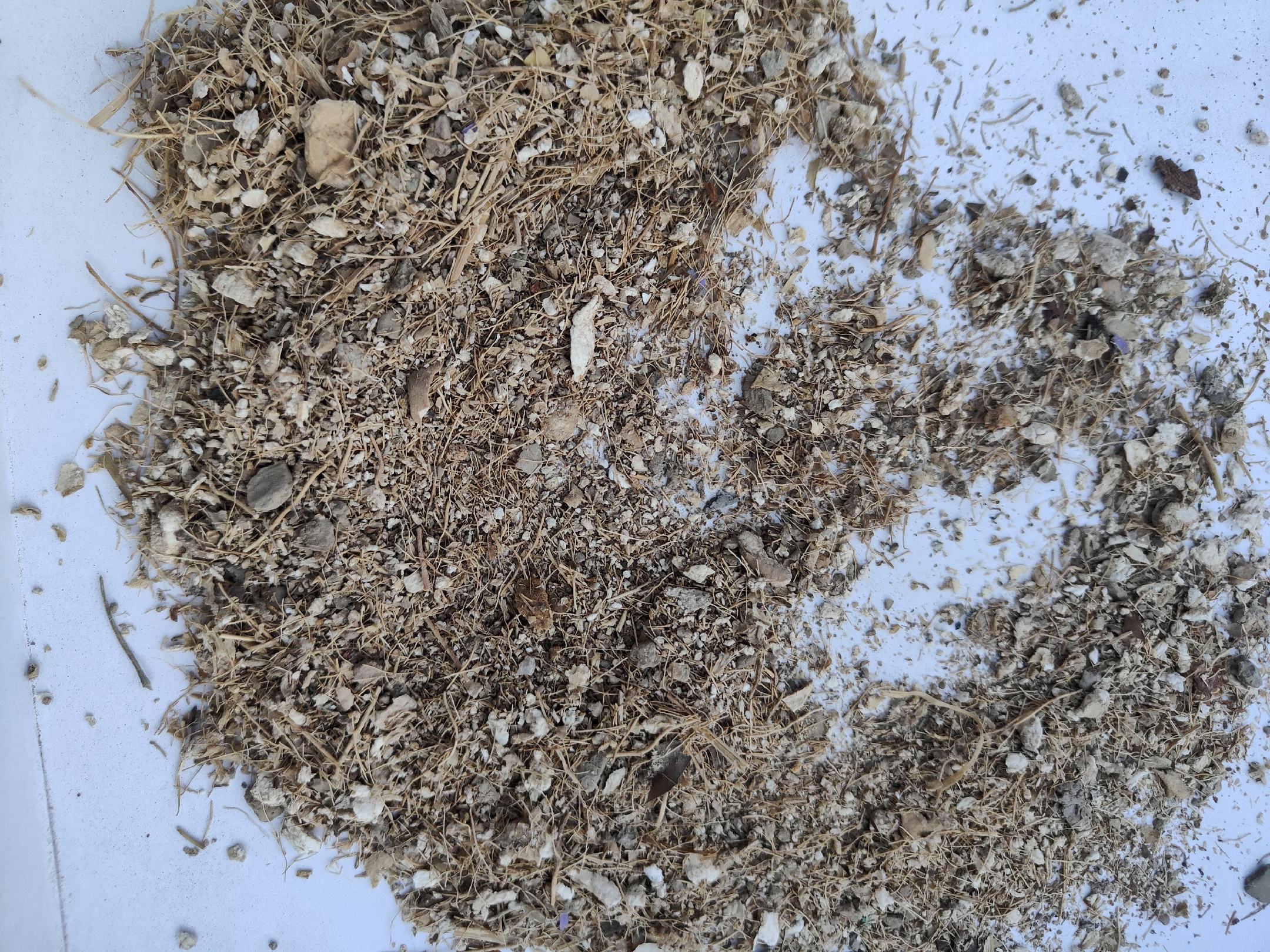 双棒山药切片展示其细腻质地和均匀结构 双棒山药切片展示其细腻质地