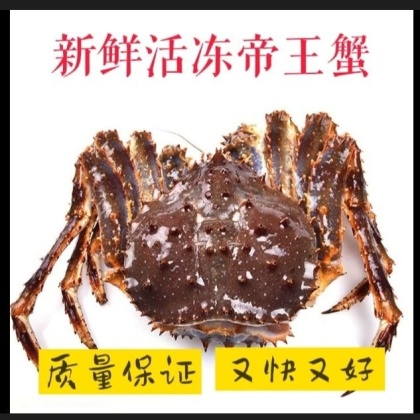 帝王蟹价格行情