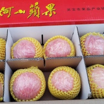 红富士苹果