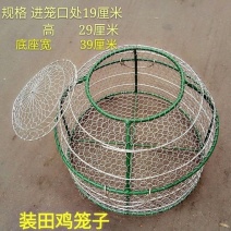 田鸡笼铁笼不锈钢田鸡笼虾蟹笼青蛙牛蛙笼关田鸡青蛙蛤蟆饭店