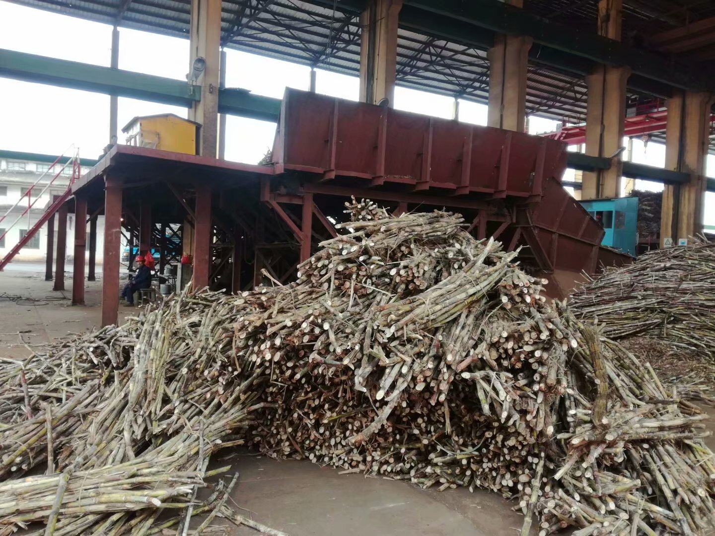 甘蔗施肥示意图