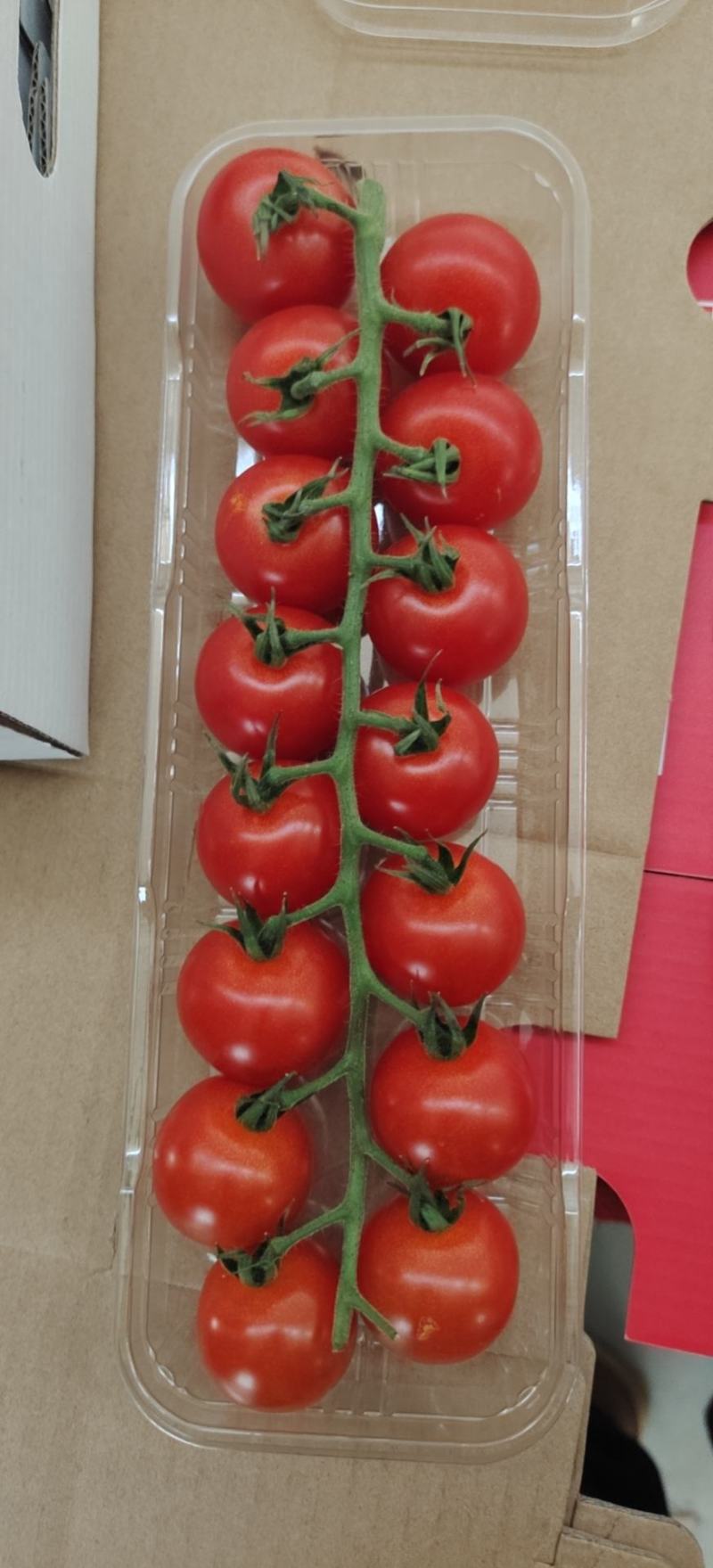 陕西咸阳杨陵区茄子 20.00元/公斤瑞克斯旺191