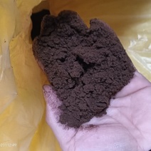 肉粉