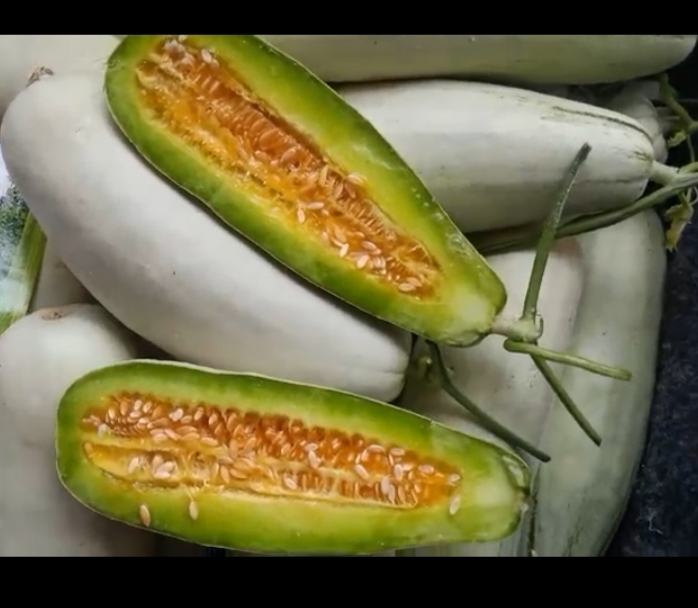 切开的紫皮长茄子横截面