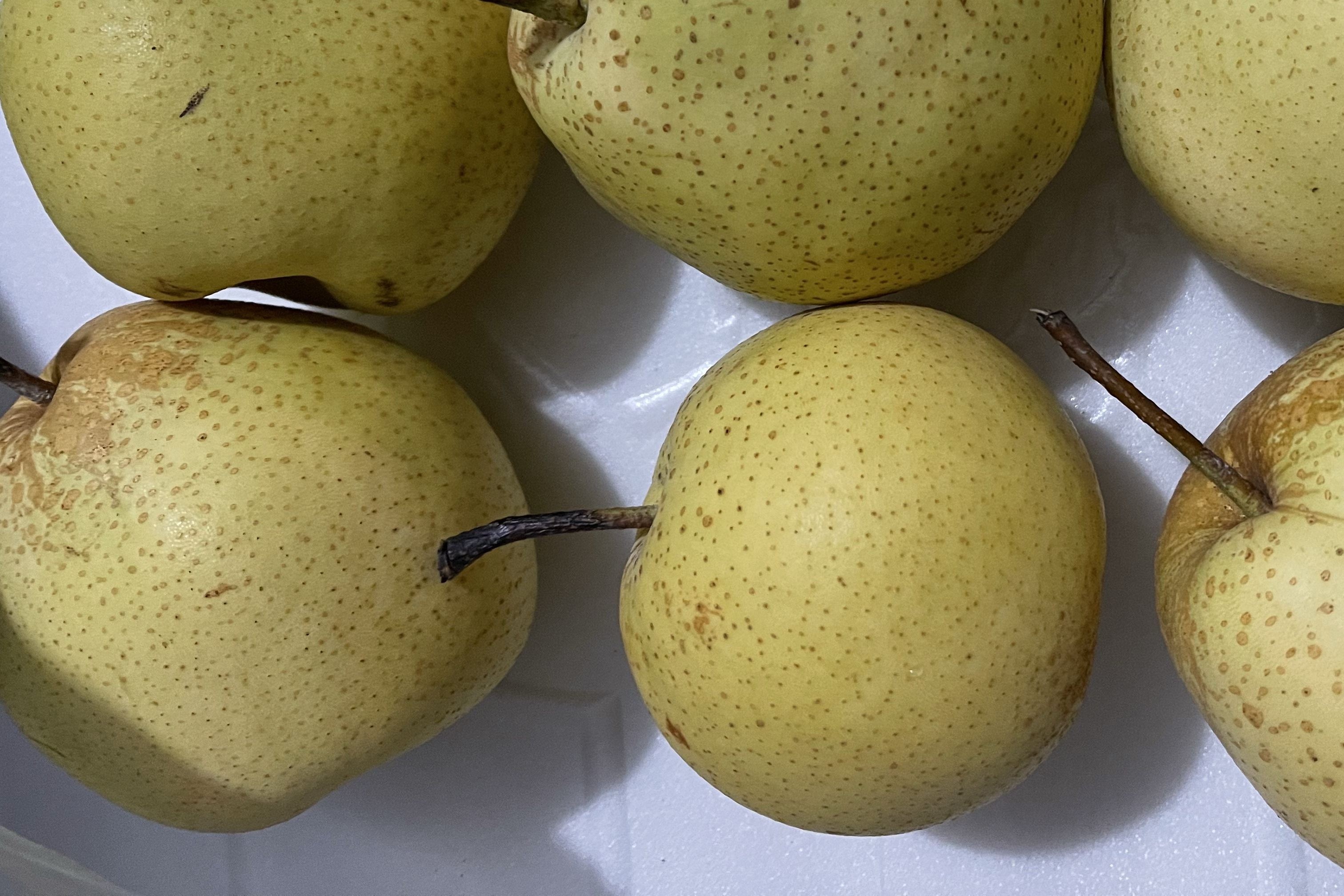 新鲜采摘的整筐雪花梨特写，果实饱满匀称，表皮青黄相间泛微霜，部分果面带有自然浅褐色斑点，背景为阳光洒落的果园木箱，呈现丰收质朴氛围