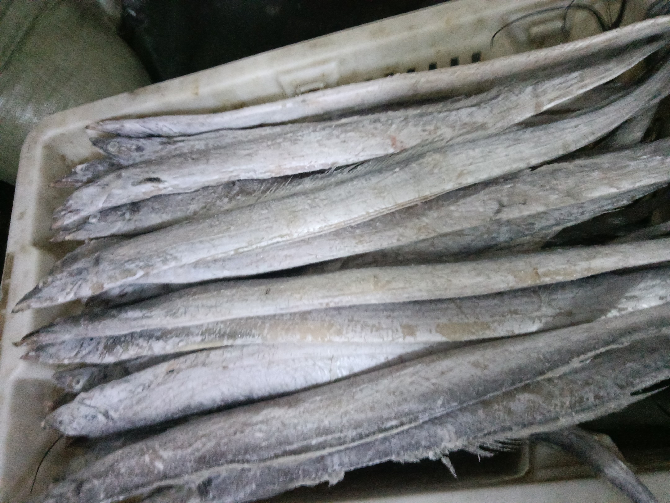 煎带鱼用什么油比较好