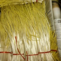 蒜黄特色菜市场优选货源自产自销大棚基地，专业养殖