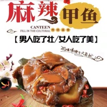 安徽麻辣甲鱼有礼盒装