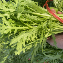 【热销】山东潍坊茼蒿菜、品质保证、产地直发。