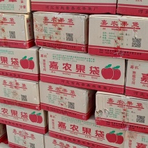 苹果袋子