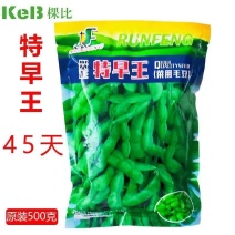 毛豆种子极早熟50天高产青豆菜种子春季蔬菜种子特早王菜豆