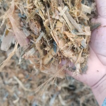 精品黄储饲料适口性和营养价显著的提高易消化