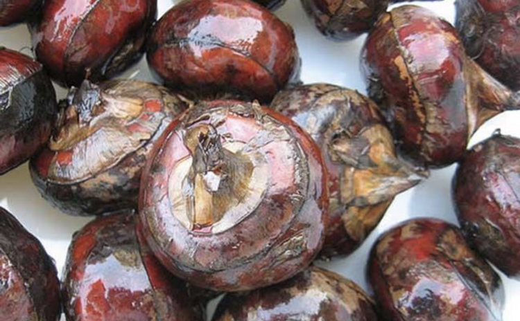 荸荠冷藏储存实拍对比图