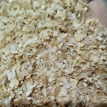 优质大片麸皮厂家