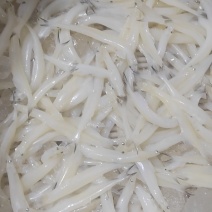 10公分以上的淡水银鱼