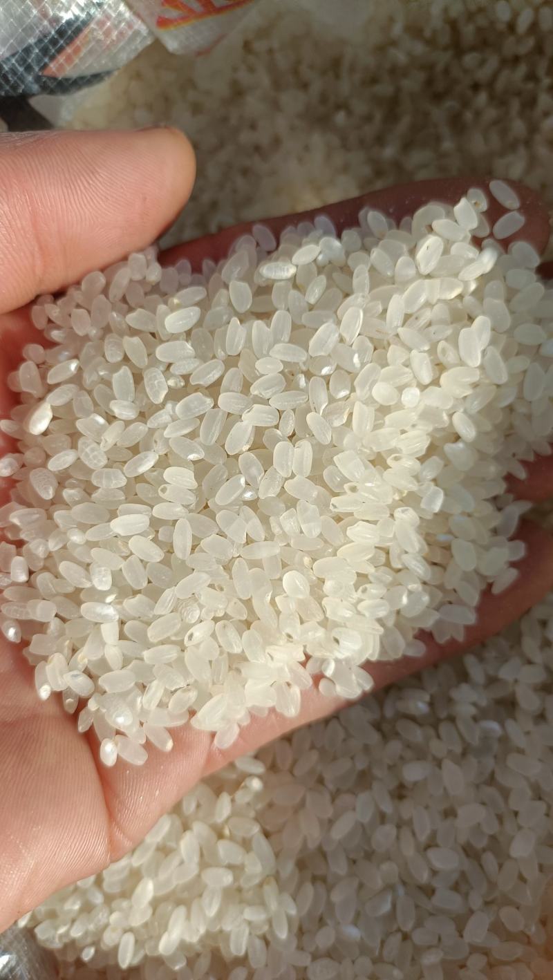 [大米批发]河南濮阳范县大米 2.50元/斤大米 _ 一亩田