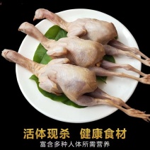 真空包装新鲜现杀鹧鸪呱呱鸡白条液氮速冻，冻品
