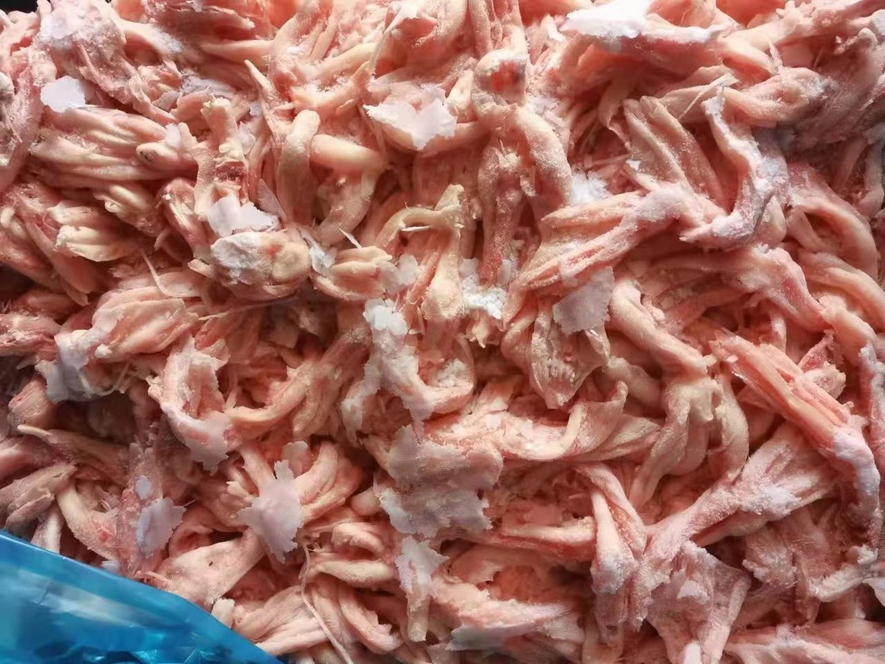 阳信鸭梨醋饮成品展示,瓶身设计融合地域文化元素 阳信鸭梨醋饮成品展示
