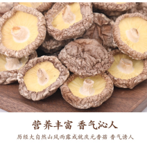 产地批发庆元香菇】香信菇（庆科20）庆元香菇241