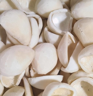 [椰子批发]新鲜老椰子肉价格10.00元/斤 - 一亩田