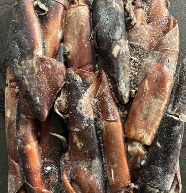 [鱿鱼批发]赤道鱿鱼价格9700.00元/吨 - 一亩田