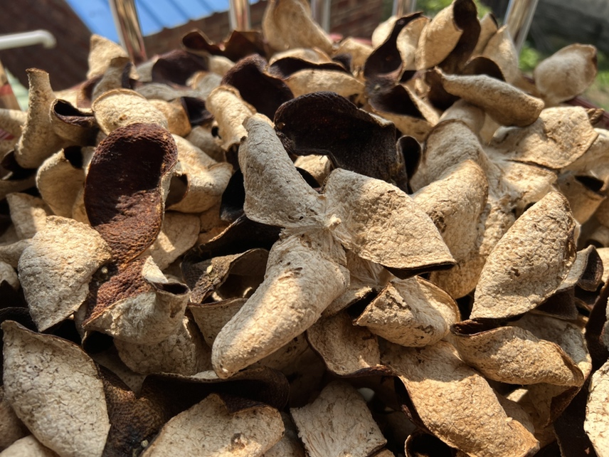 七月果小青柑加工成品展示图