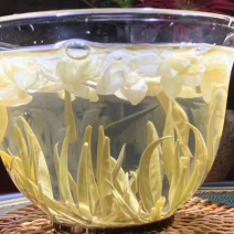 广西横州市茉莉花茶金针王飘雪浓香型花茶六窨茉莉花茶