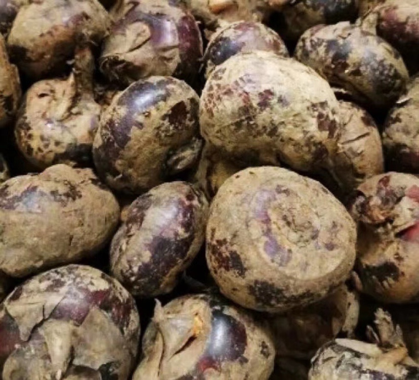 毛马蹄营养成分分析图示