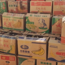 柿饼吊饼圆饼