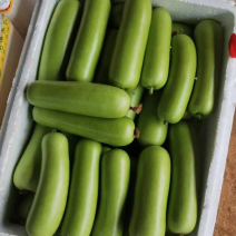【推荐】徐闻县精品瓠瓜大量上市产地发货