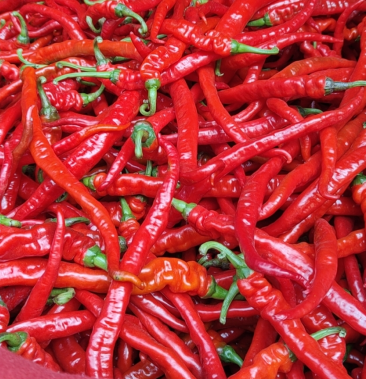 40元/斤 - 一亩田