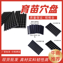 育苗穴盘加厚穴盘育苗育秧厂家一手货源批发规格齐全