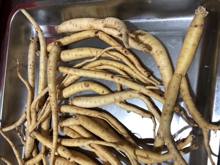 党参熟地黄炖汤成品图,展示药膳汤品色泽与食材搭配 党参熟地黄炖汤成品图