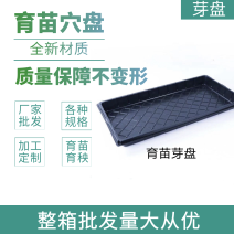 【厂家直发】育苗穴盘保证质量规格齐全量大从优