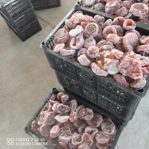 大量供应广西桂林市恭城瑶族自治县高次柿饼