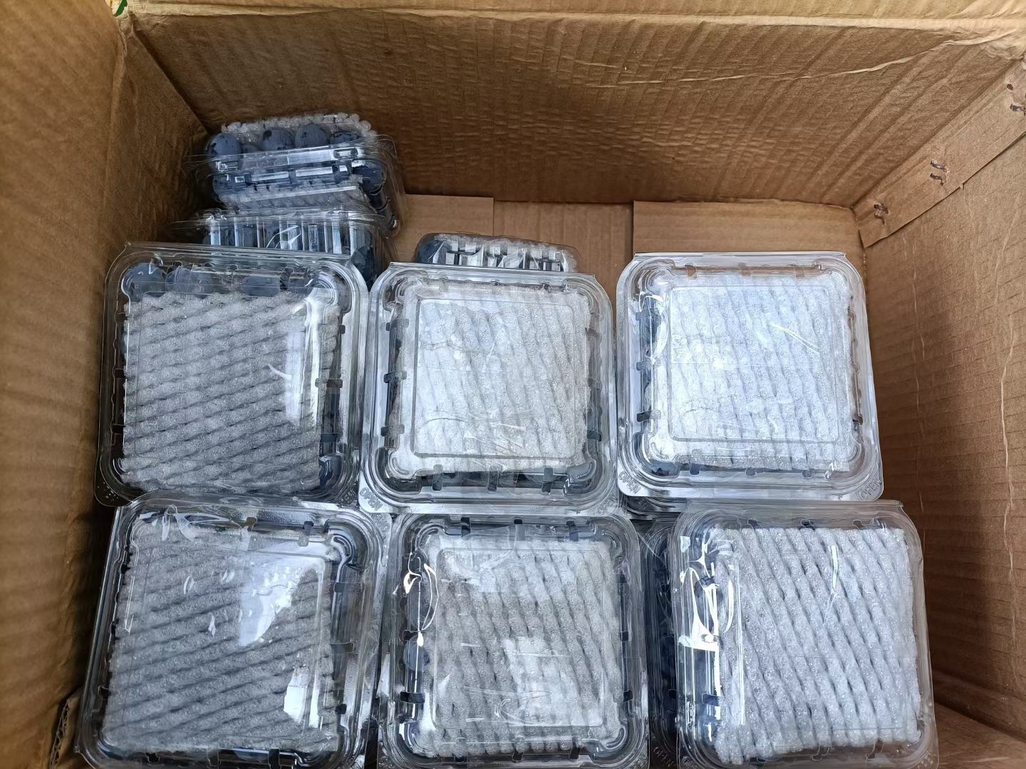 蓝莓在电商平台上的销售页面截图