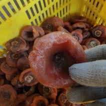 广西桂林平乐县特产柿饼，外表难看但我內心很甜很甜