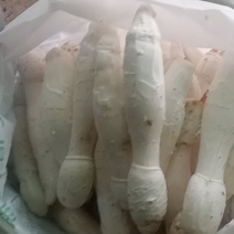 精品鸡腿菇