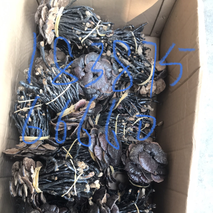 安徽竹灵芝价格行情走势 - 一亩田