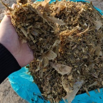 圆包玉米秸秆黄储
