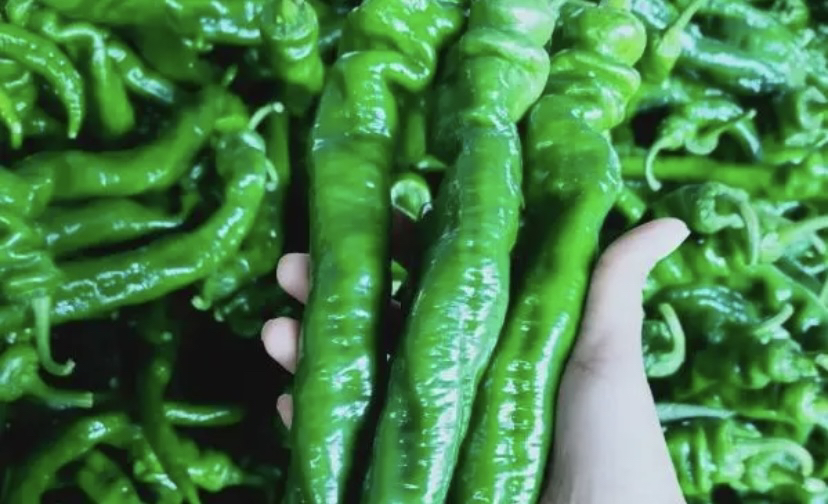 厨房中新鲜螺丝椒的摆拍图